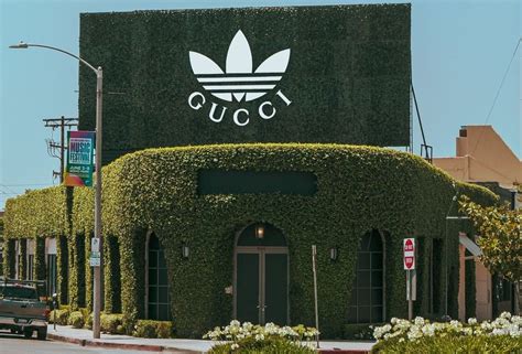 gucci adidas los angeles